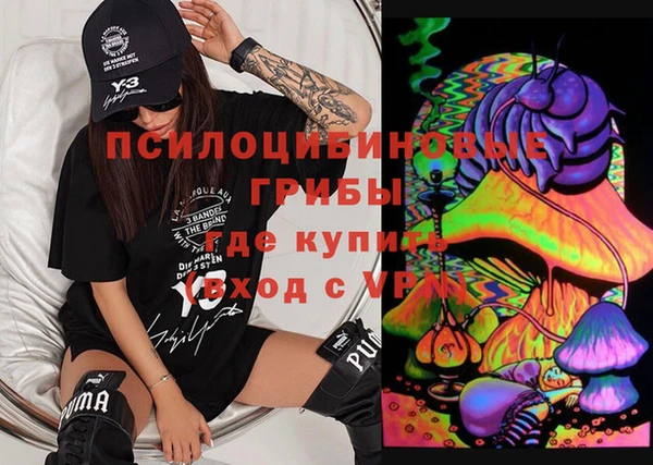 ПСИЛОЦИБИНОВЫЕ ГРИБЫ Беломорск